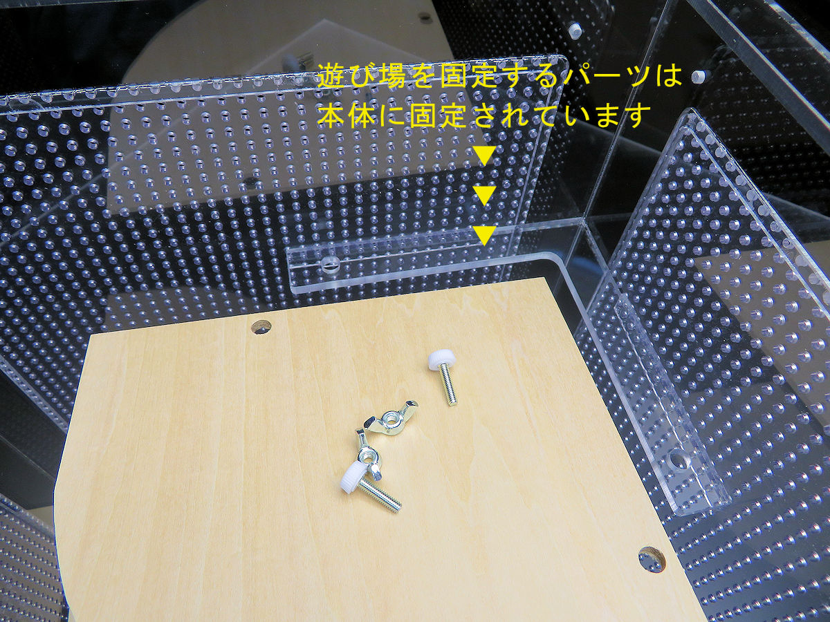 フクロモモンガ　アクリルケース　35×35×50 フクロモモンガ アクリルケース 35×35×50